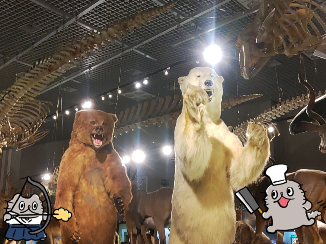 〻ಠᴥಠ〻熊退治は任せろ！ 🐻💢 〻ОᴥО〻うつぶせ！あおむけ！