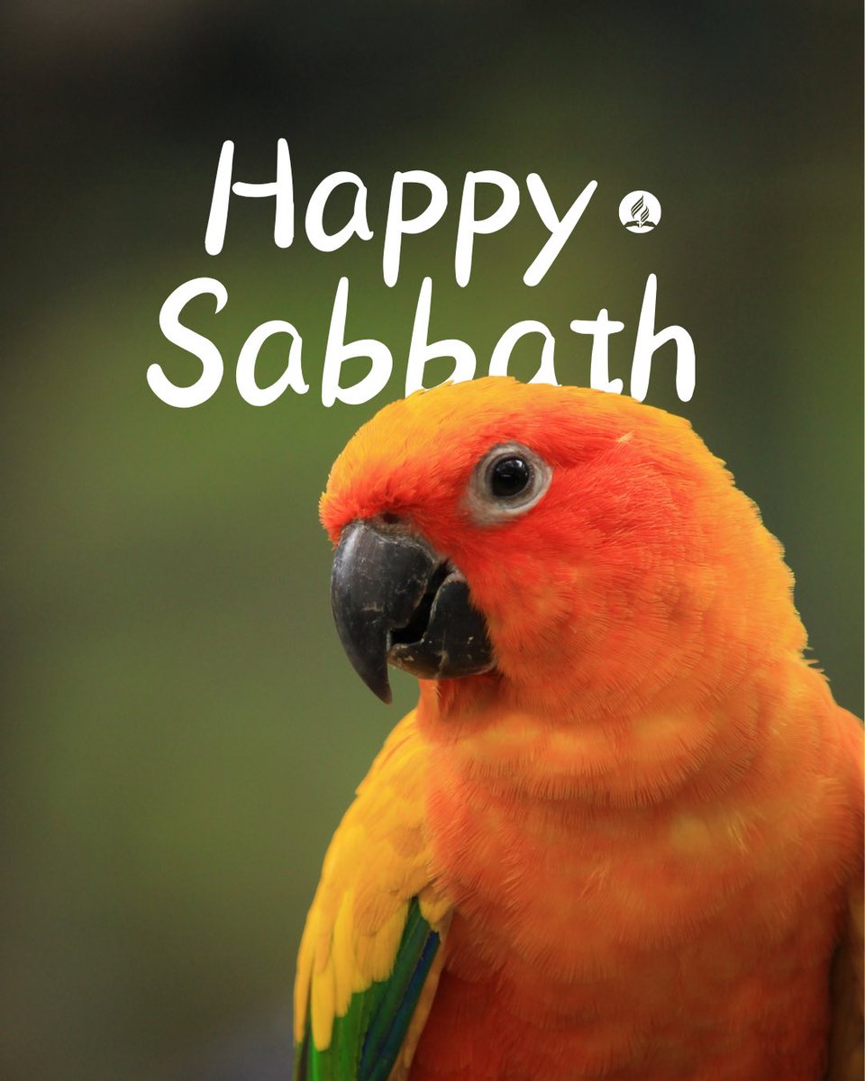 fl_adventists's tweet image. “God saw all that he had made, and it was very good. And there was evening, and there was morning—the sixth day.”

Genesis 1:31 NIV

#happysabbath from #florida #adventists