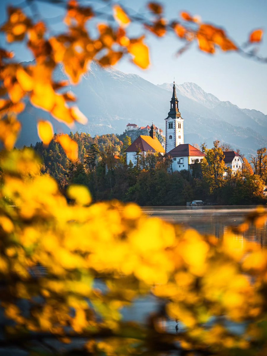 ExploringSlo's tweet image. A classic 😍 In autumn, Bled glows with golden hues, its tranquil lake reflecting brilliant colors as the Alps stand majestic in the background.
Photo by 📸 @dejanslr