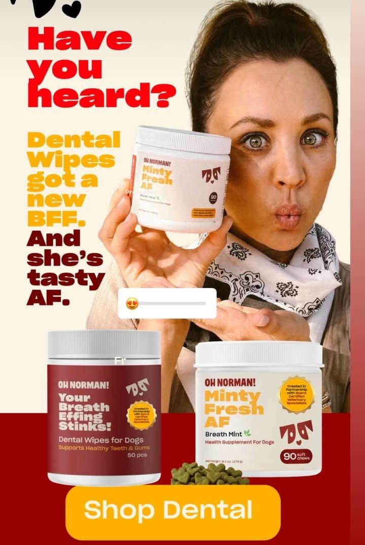 kaleycuoco47428's tweet photo. Out now place your order https://t.co/2ocfhHDdpm