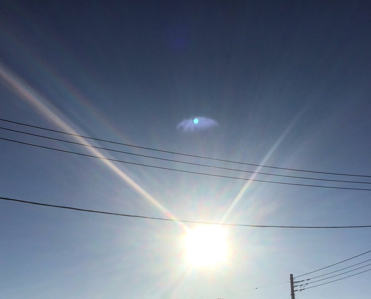 かめきち (@E9Ep7HchhwchZot) / Posts / X