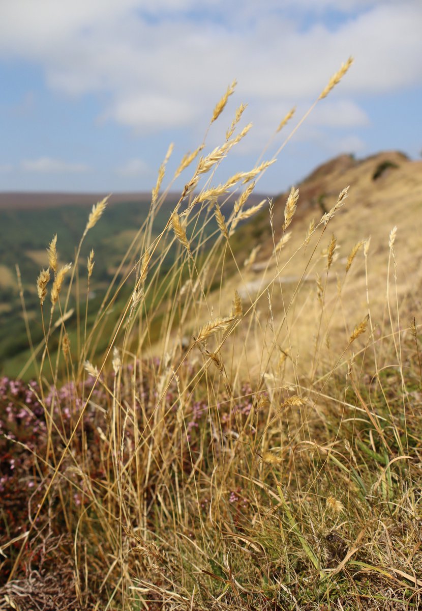 The Cat's Back, Herefordshire. Photo from this summer.