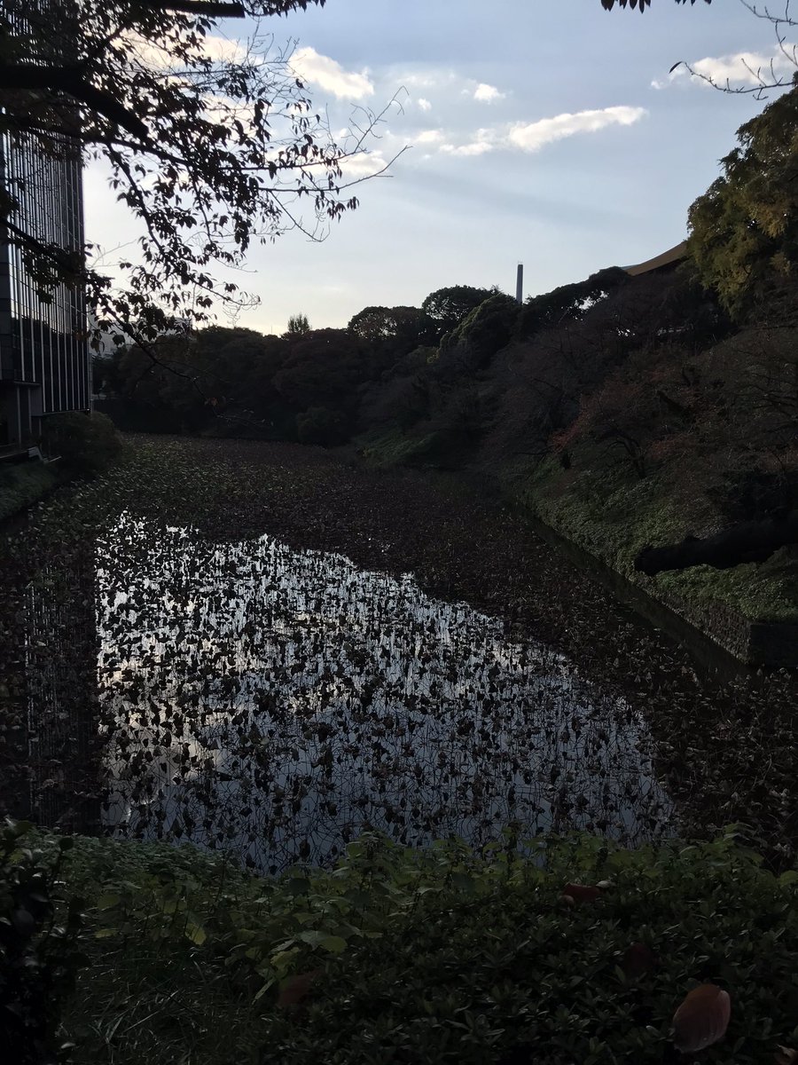 petermelon0214's tweet photo. https://t.co/V0GmmxLSWU