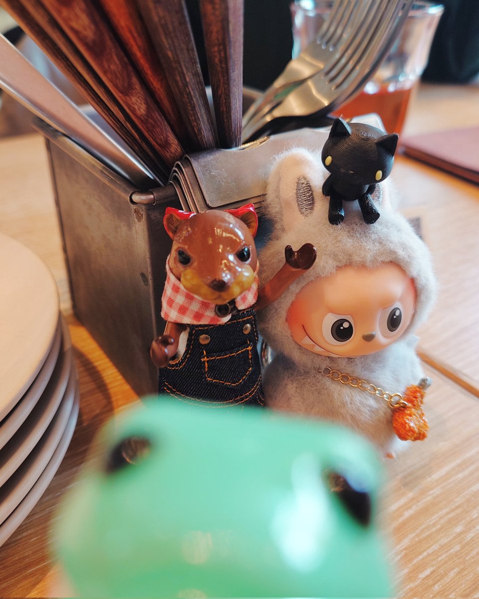 昨日のブロッホ🐸
仲間が増えたそうです。
楽しそうでなによりですw
#mla_jeans #mailittlealien
#MONSTERFACTORY