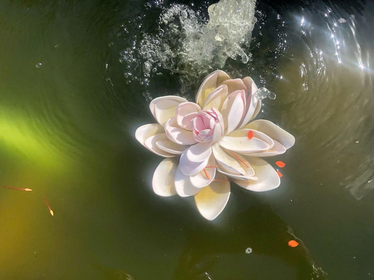 gal౨ৎ (@prtygal777) on Twitter photo 