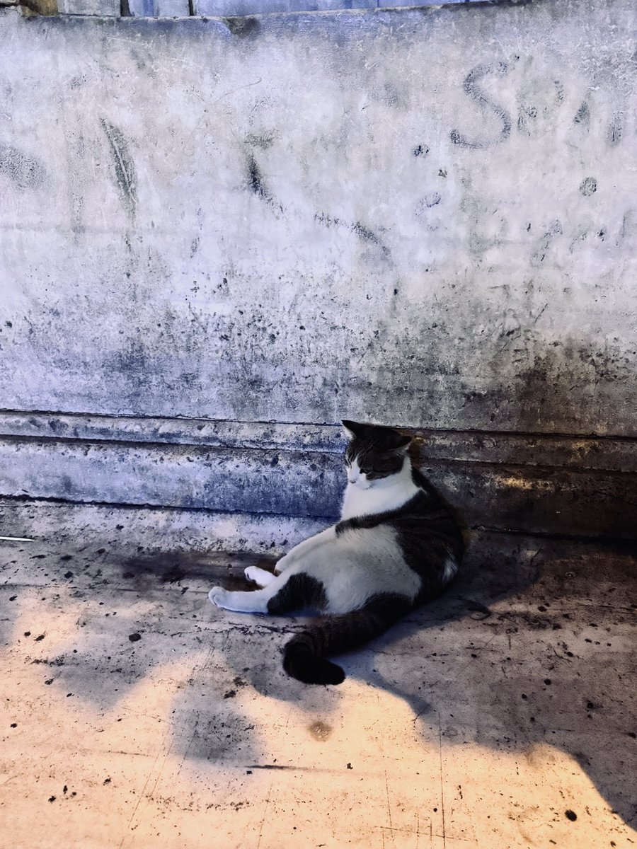 Anlık şöyle bir dert sahibiyle karşılaştım..