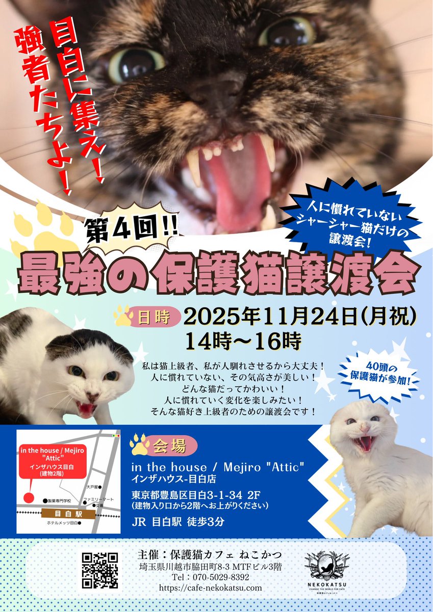 ≪目白に集え❗️強者たちよ❗️≫
第4回！最強の保護猫譲渡会開催のお知らせ❗️》📢
.
今回はなんと！
ご来場者様、先着５０名様に
シャー猫ポストカードをお配りします🎁》📣
※おひとり様1枚、種類はランダムです
.
更に当日は
『2026ねこかつチャリティーカレンダー』の
販売もあります❣️