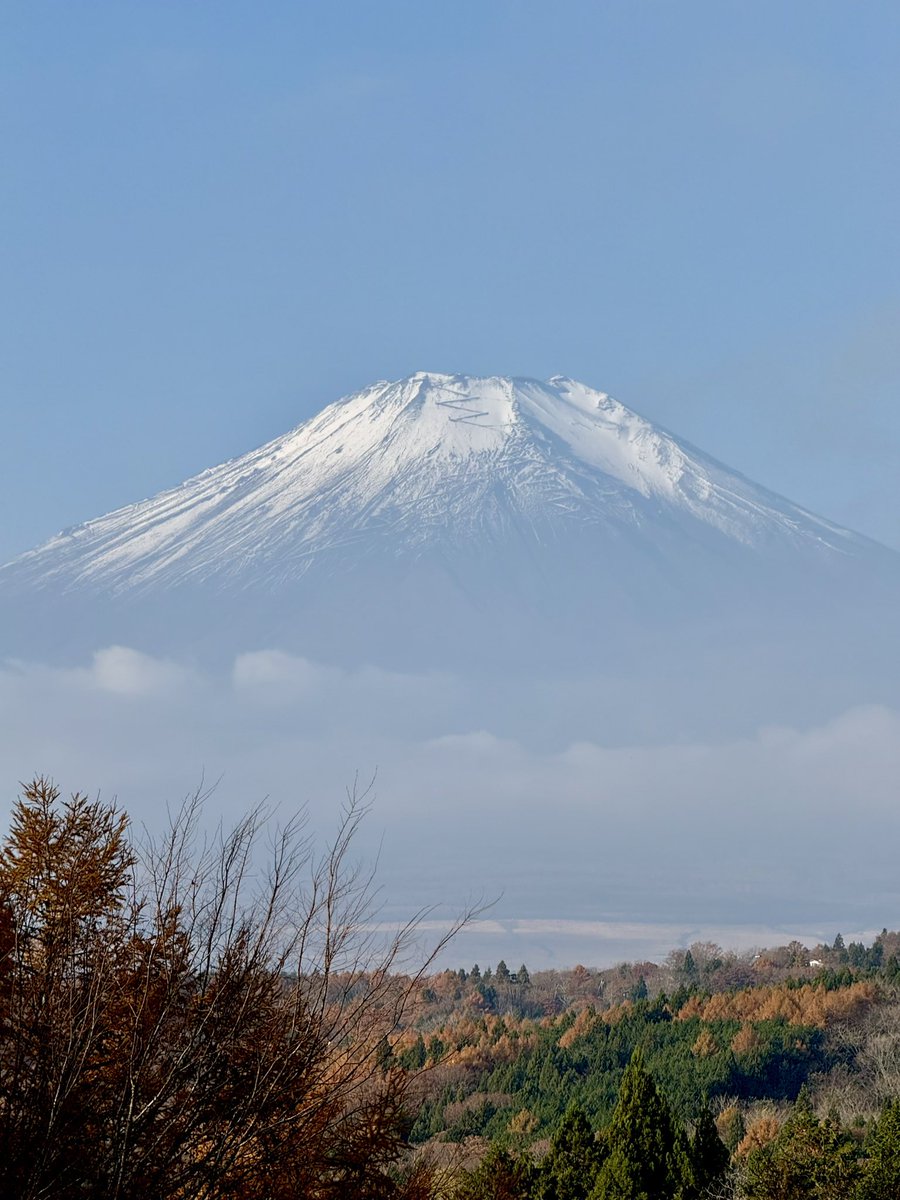 高見朝蒼　大富士 高見朝蒼 大富士 高見朝蒼 大富士 Yahoo!オークション -「高見朝蒼
