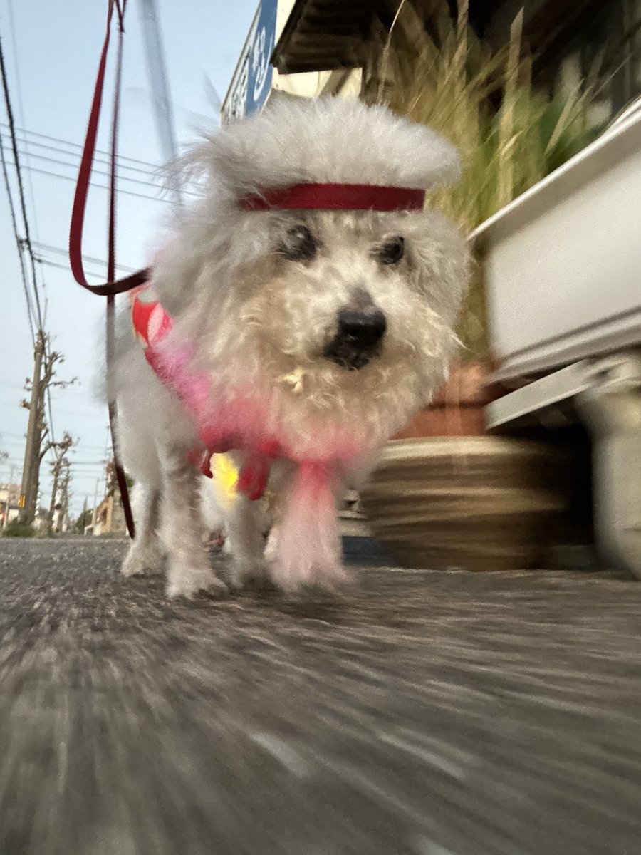 ハルくん (@9Z8lquSv8B3FMpN) / Posts / X