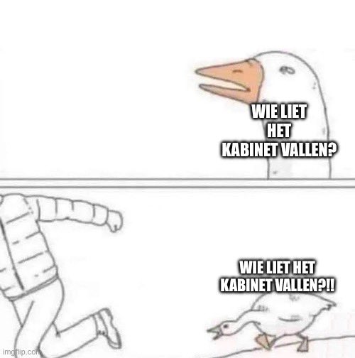 Job van den Broek (@job_vdbroek) on Twitter photo 