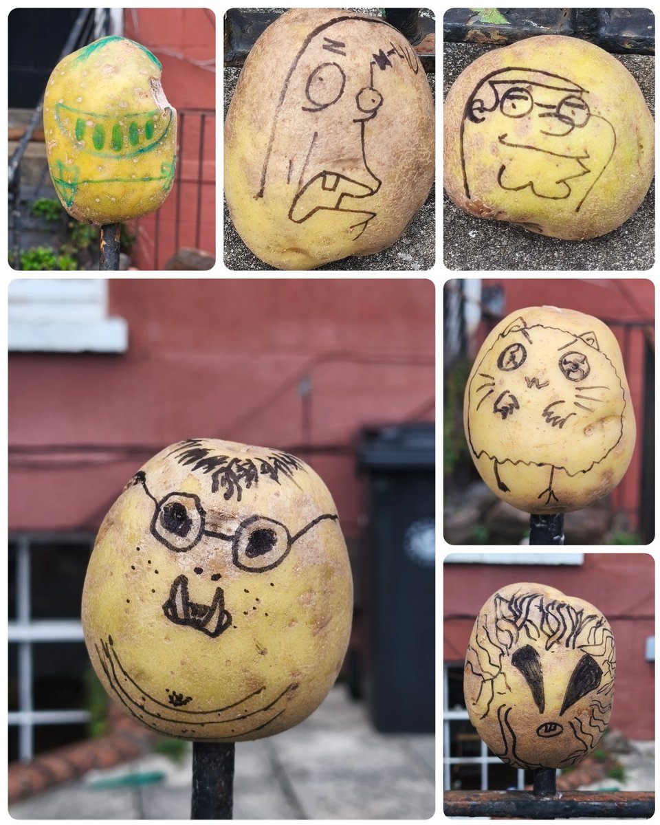 GhostCatcherELH's tweet image. An update to the Bristol Spud Fence!

#potato #spud #potatoes #spudfence #potatofence  #Bristol #bristollife #onlyinbristol