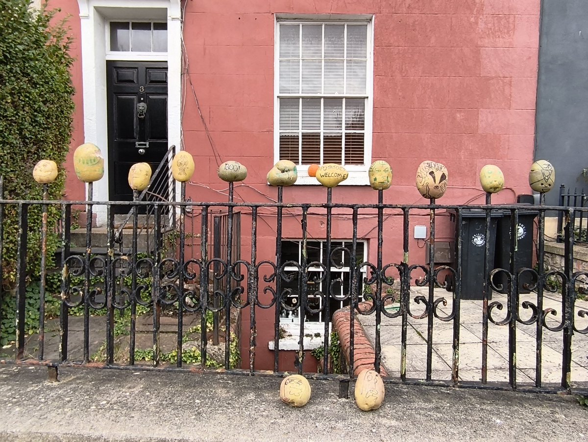 GhostCatcherELH's tweet image. An update to the Bristol Spud Fence!

#potato #spud #potatoes #spudfence #potatofence  #Bristol #bristollife #onlyinbristol