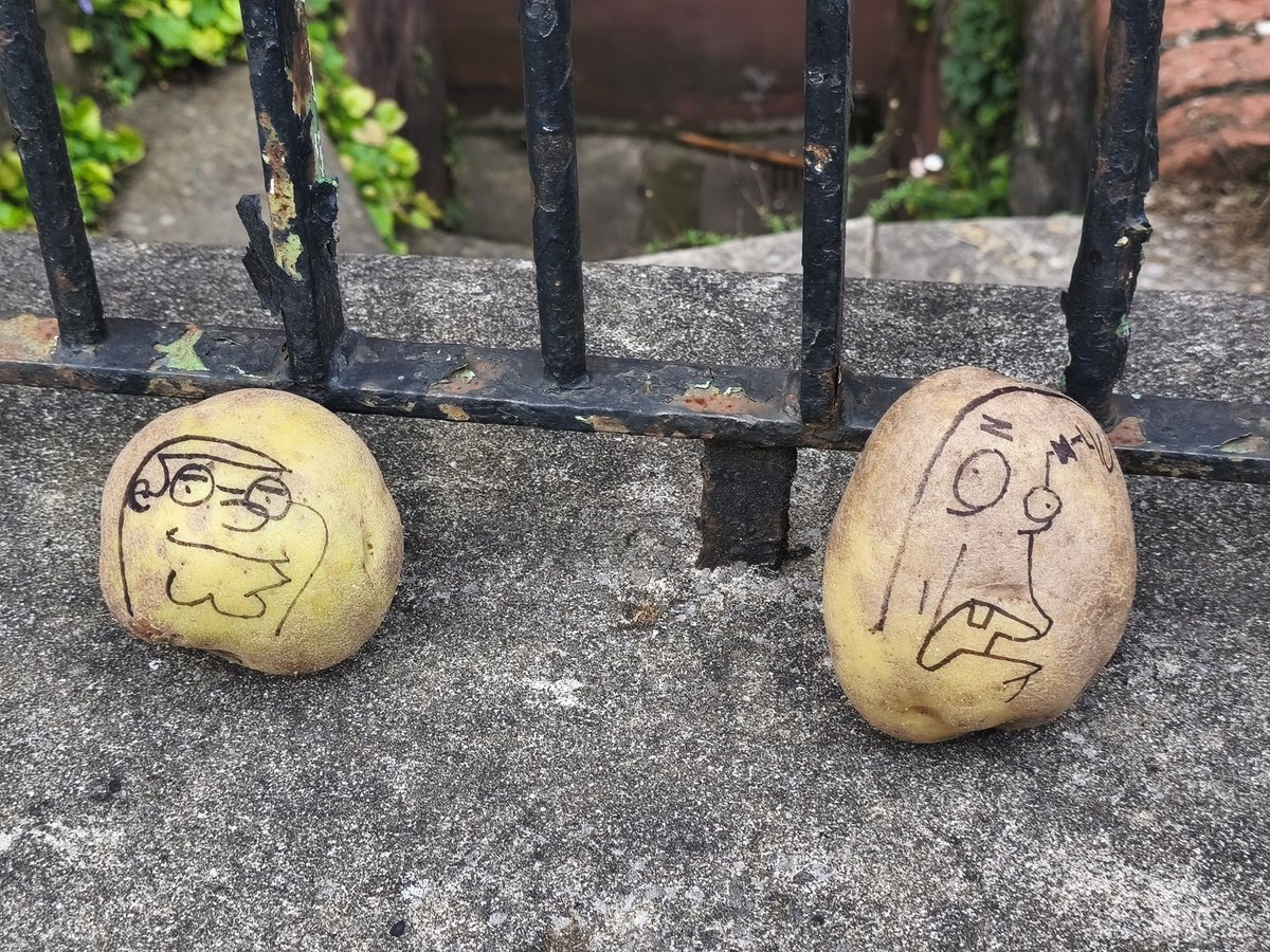 GhostCatcherELH's tweet image. An update to the Bristol Spud Fence!

#potato #spud #potatoes #spudfence #potatofence  #Bristol #bristollife #onlyinbristol