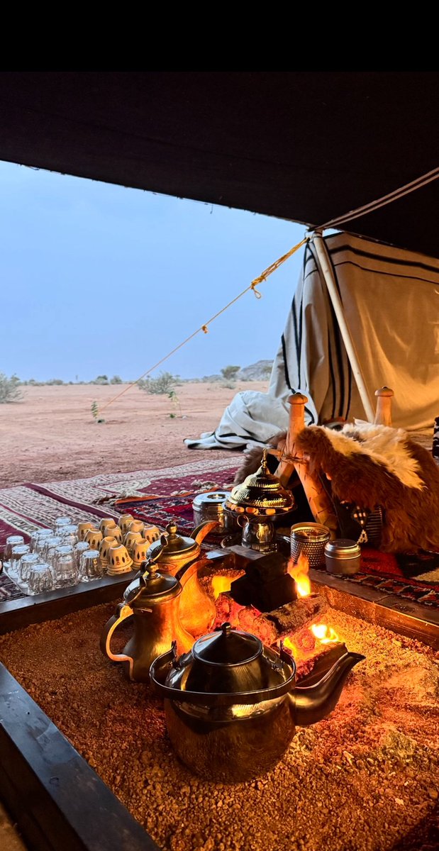 ح مدان tweet media