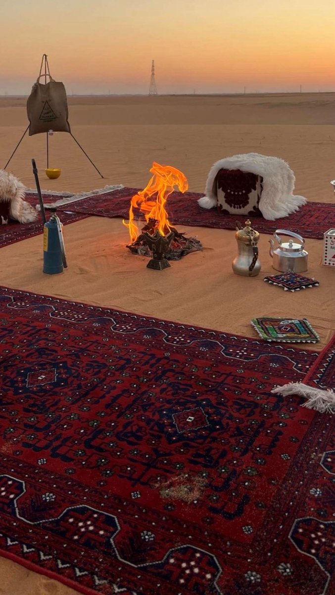 ح مدان tweet media