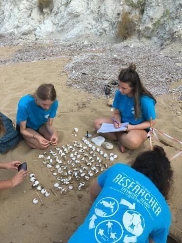 itsystudy's tweet photo. ⌕ search: #studytwt #studytwtbr 

⟢ vestibulanda de oceanografia / biologia marinha 🐋
⟢ foco: unesp, unifesp 📖
⟢ foco força e fé ✨

♡/↺ = moots! https://t.co/6161e3qGMI