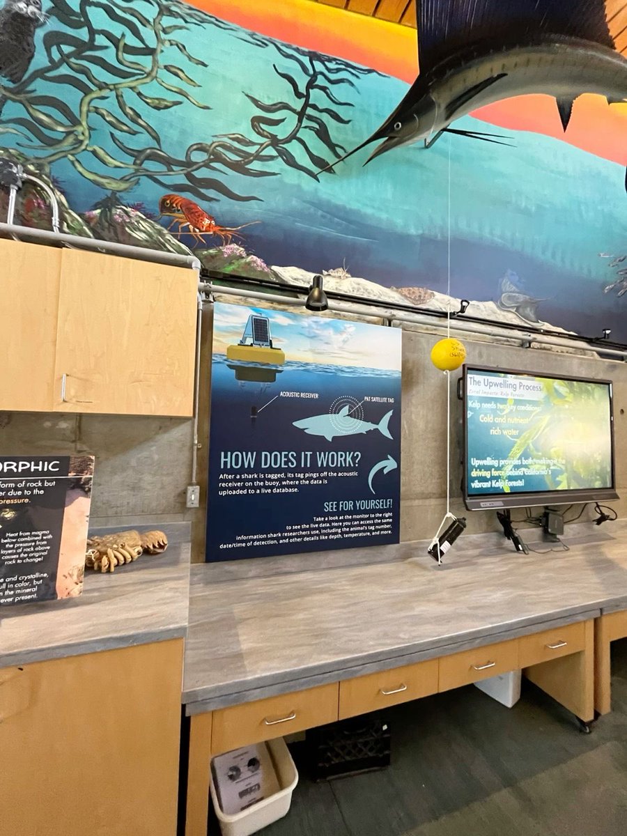 itsystudy's tweet photo. ⌕ search: #studytwt #studytwtbr 

⟢ vestibulanda de oceanografia / biologia marinha 🐋
⟢ foco: unesp, unifesp 📖
⟢ foco força e fé ✨

♡/↺ = moots! https://t.co/6161e3qGMI