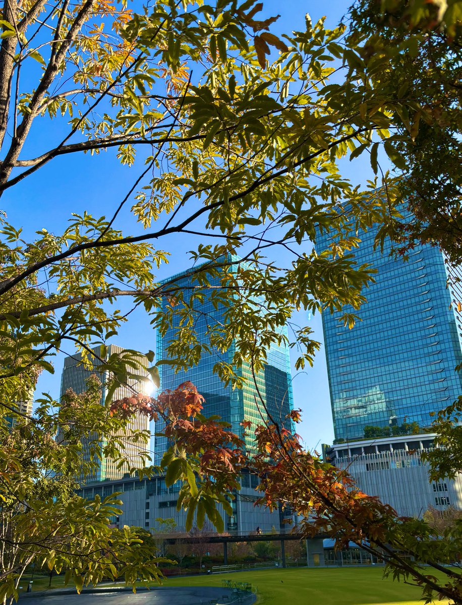 Rie (@Rie42194913) / Posts / X