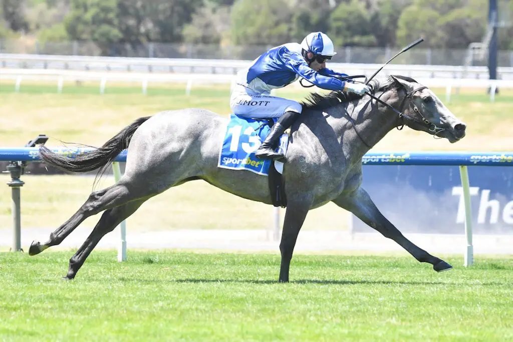 MacBetTips's tweet image. 🚨 Spring isn’t over just yet punters!

The MacBet team are in good form and have you covered with tips and yard mail for another Group 1 day! 🔥 

Grab the gear @ macbet.com.au for:

Caulfield
Doomben
Gold Coast
Newcastle

Get involved punters! 💪