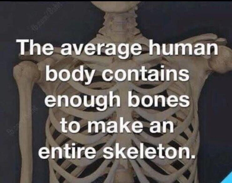 LiteralMem3s's tweet image. 