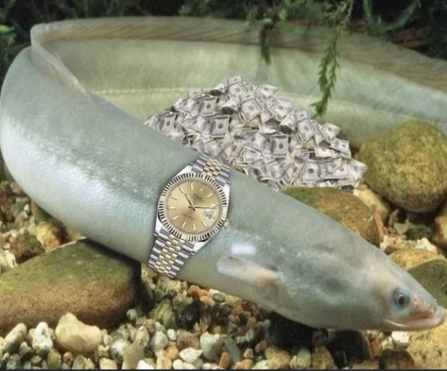 _NiemalsKinski_'s tweet image. Ich habe einen Traum