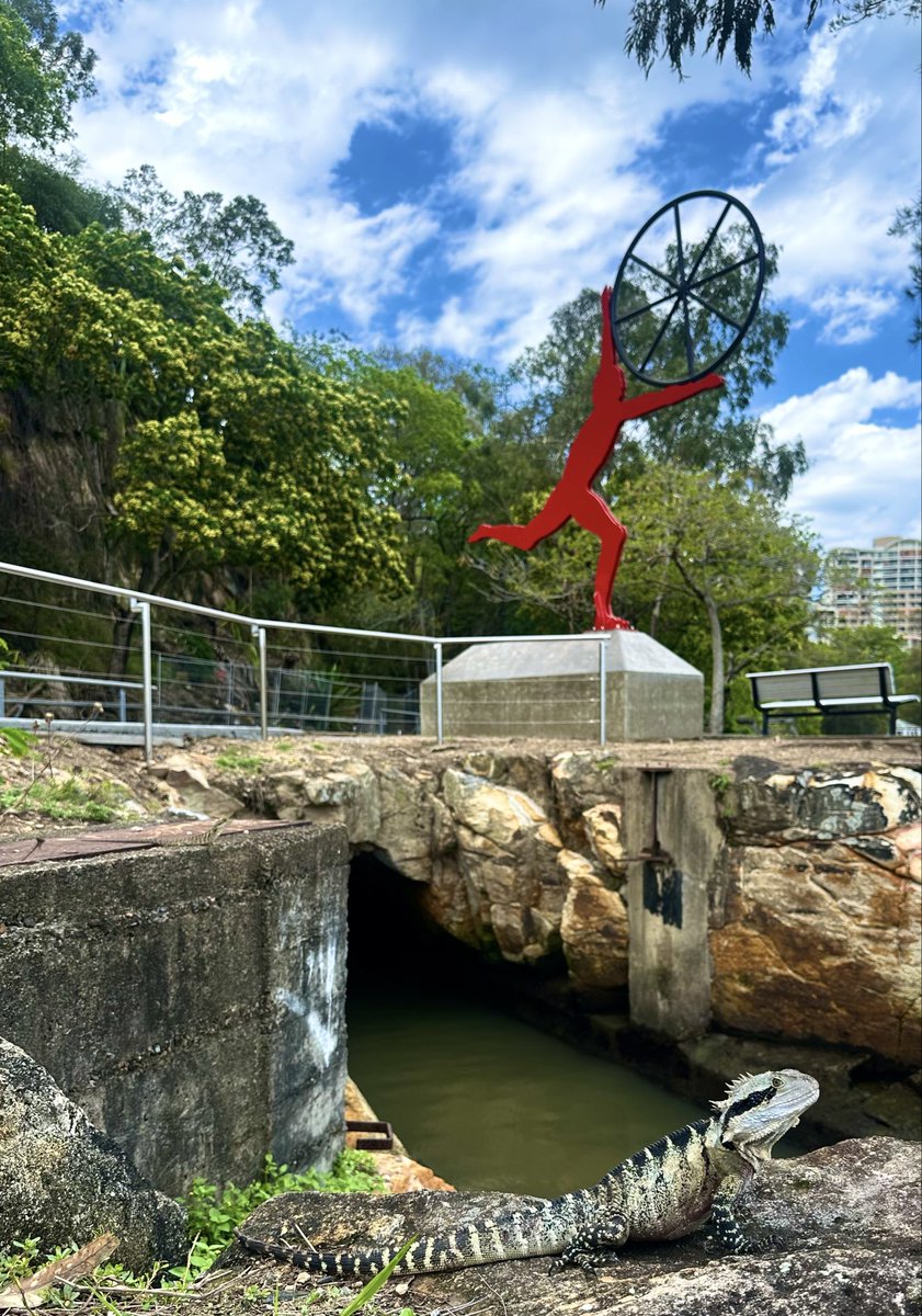 WolframJoy's tweet image. Meanwhile in #Brisbane #Australia even the lizards do photo ops