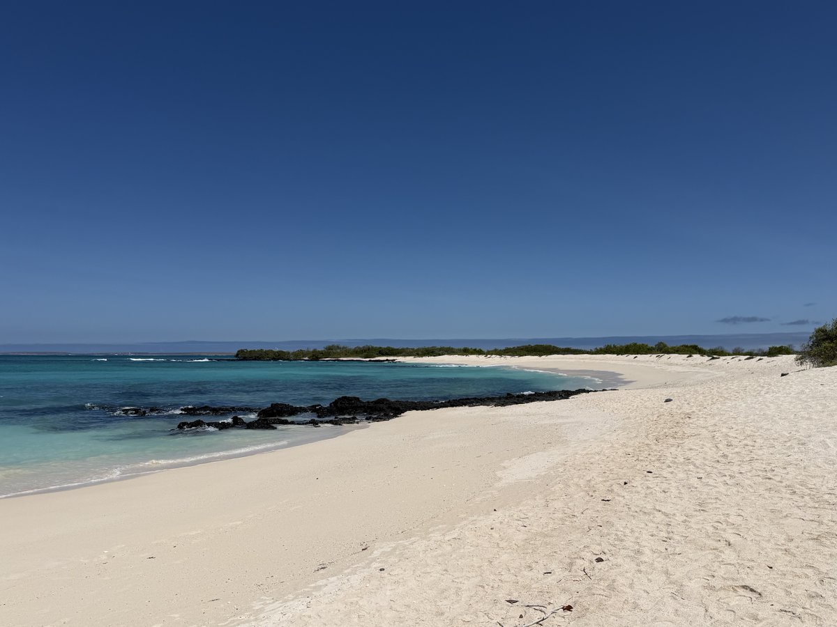 fgomollon's tweet image. Isla de Santa Cruz, Islas Galápagos #ECUADOR #Evolution #CharlesDarwin
