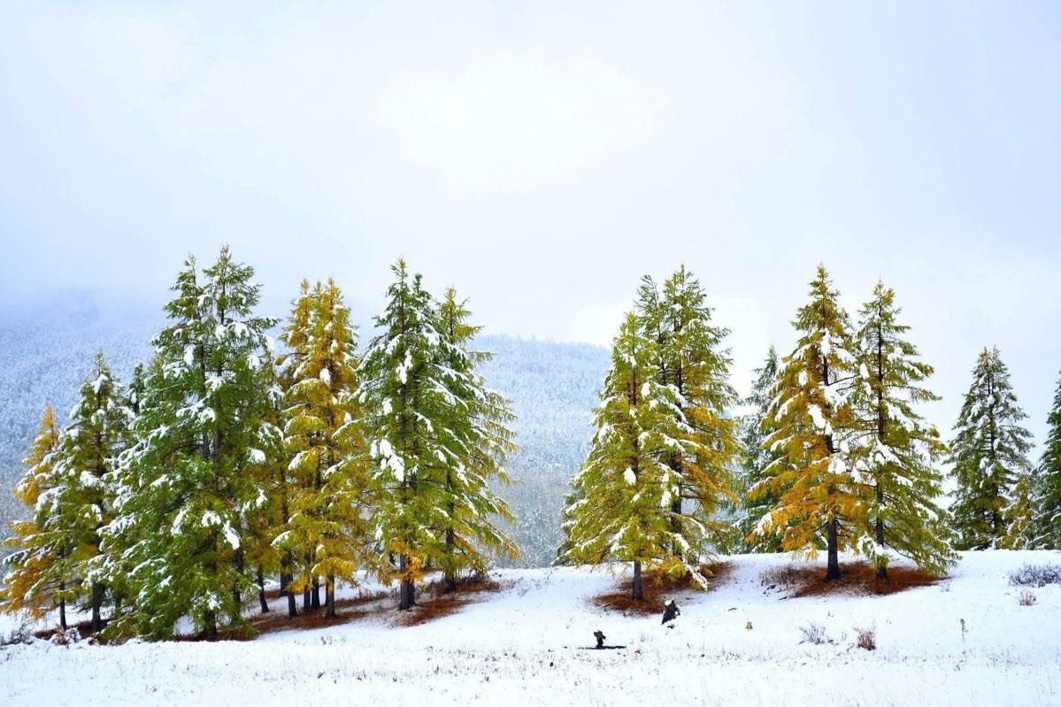 Өглөөний мэнд!