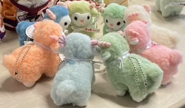 おはうーるん🐑
#一宮市 は☀１０℃
本日は休業日です。今日は、#七五三
ですね。なつかしい…
これから色々大変なんです。
どうしようか？サミットします😊
#企業公式が朝の挨拶を言い合う 
#企業公式が毎朝地元の天気を言い合う 
#企業公式相互フォロー 
#企業公式さんと繋がりたい 
#うーるん