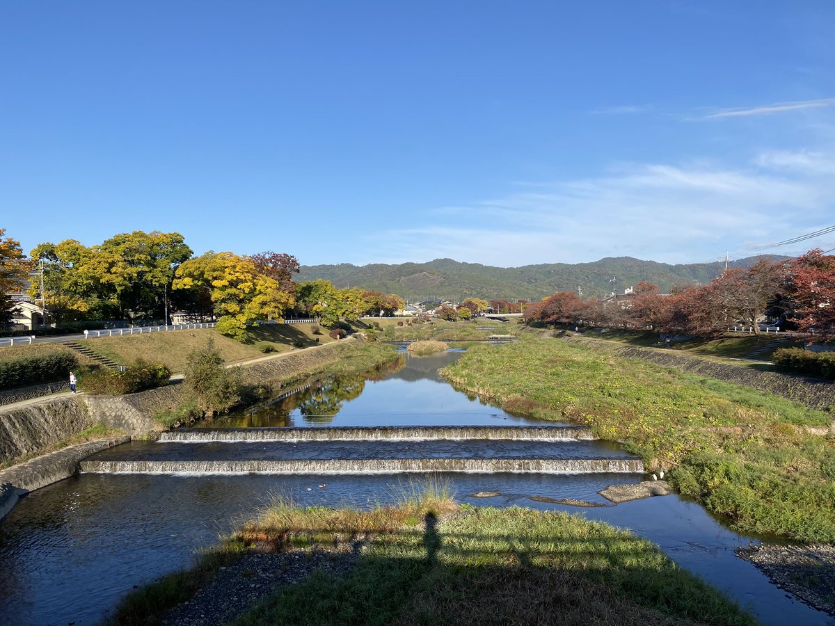 kamokamokai's tweet image. 今日の賀茂川。
2025年11月15日
#Kyoto #kyokamo #鴨川 #京都
