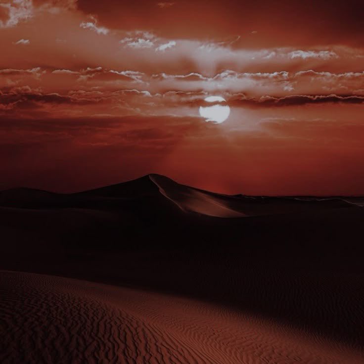 ┈┈ 𝚆𝚁𝙴𝚃𝙲𝙷𝙴𝙳 & 𝙳𝙸𝚅𝙸𝙽𝙴. tweet media