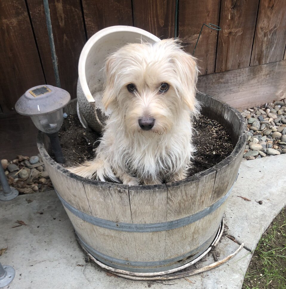 Sandi 🏖️☀️ tweet media