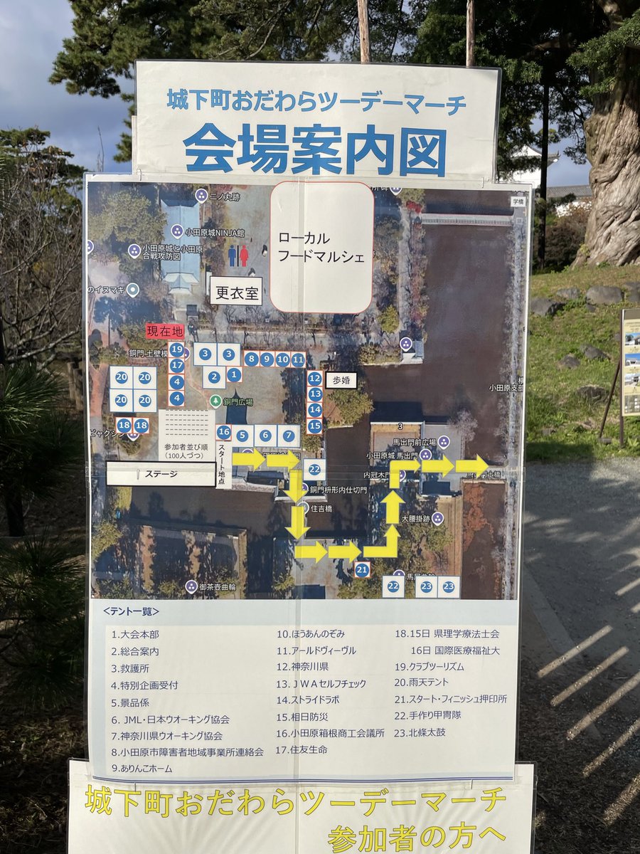 今日は小田原ツーデーマーチ20Kmを楽しみます👟