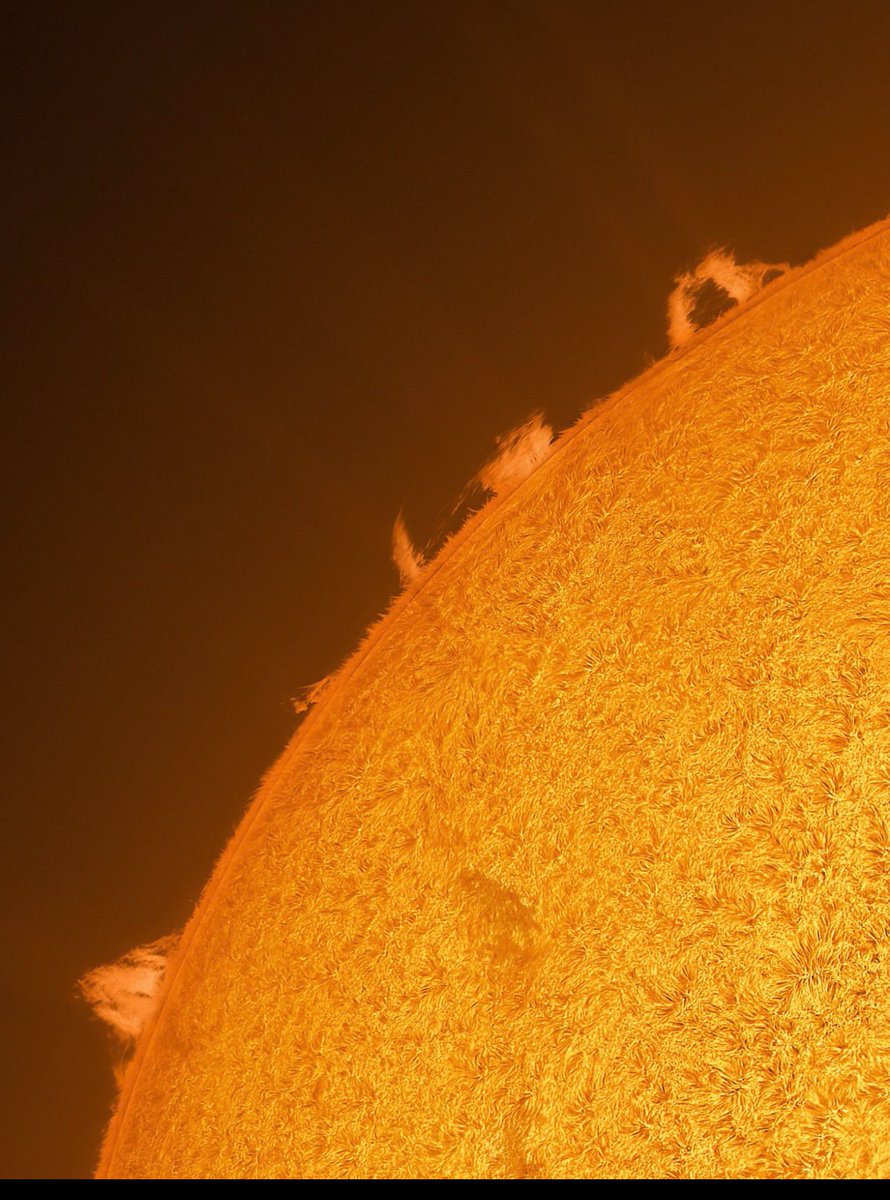 Concerned Citizen tweet media