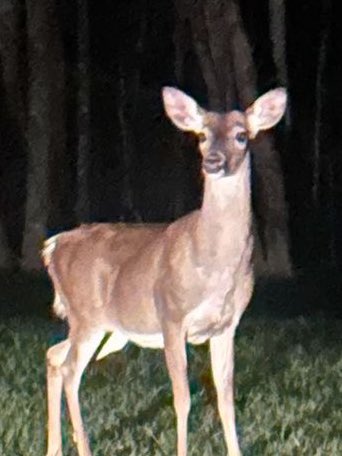 byerscentric's tweet photo. always a fan of how jonathan constantly looks like a deer in headlights https://t.co/COcnvQL50C