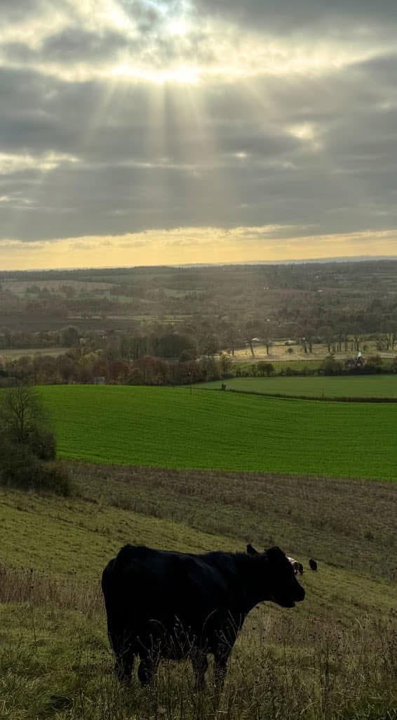 APCAFC's tweet image. #THISTIMELASTYEAR

Lenham to Thurnham
#GoingAroundtheUKCoastAgain 
SIDE PROJECT 
#NorthDownsWay