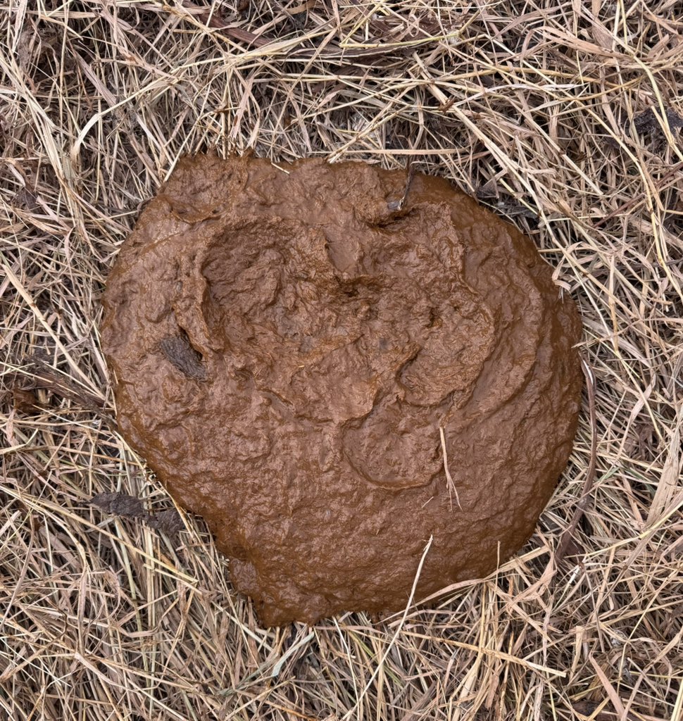 Nerbas Bros. Angus tweet media