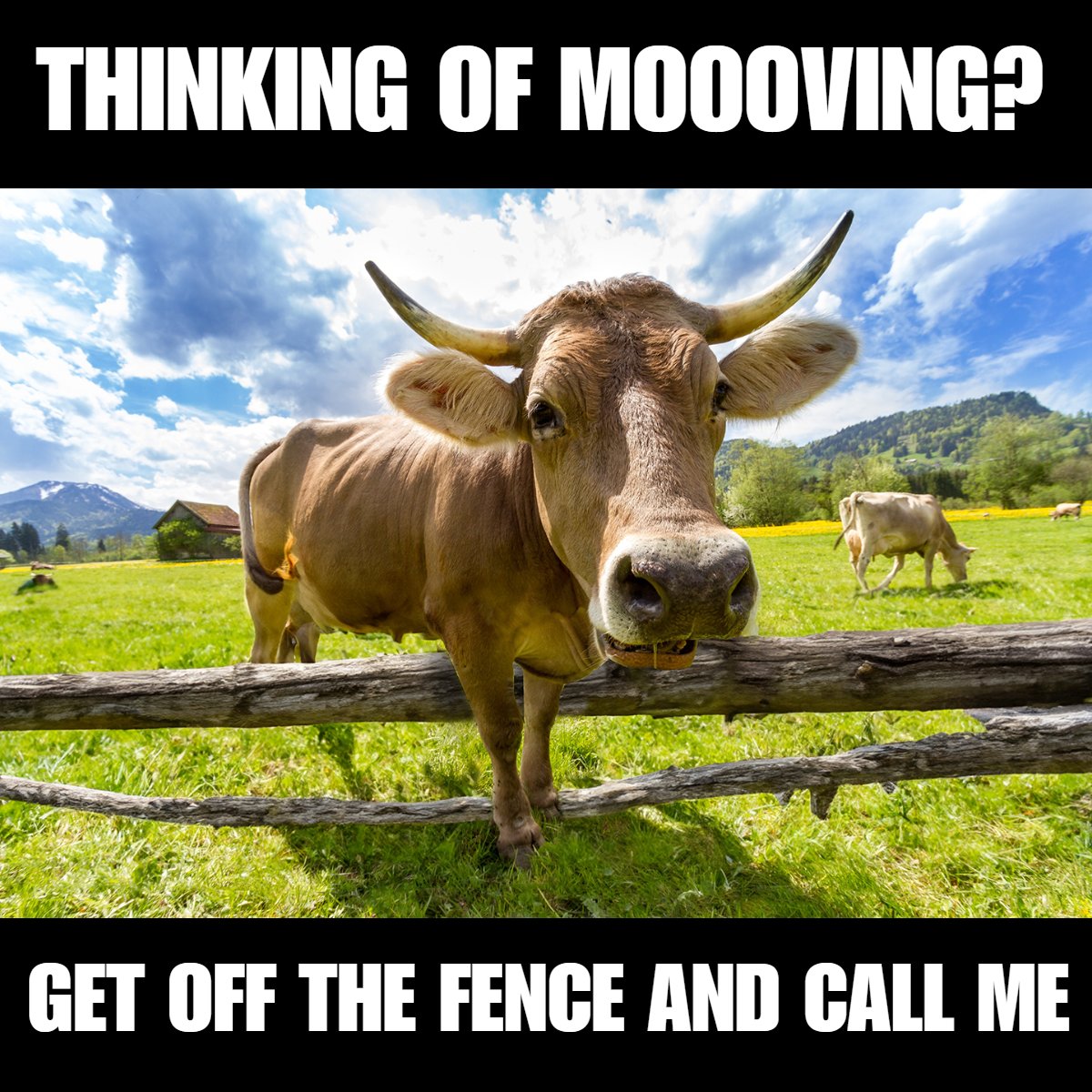 setitab's tweet image. Thinking of Moooooving? 🚚🐄

Let’s make your move smoother than ever! 🌟✨

#NewBeginnings #FreshStart #MovingMadeEasy #HomeSweetHome