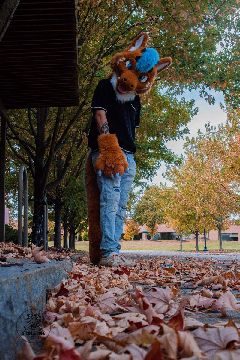 Bailey 👑🐉 tweet media