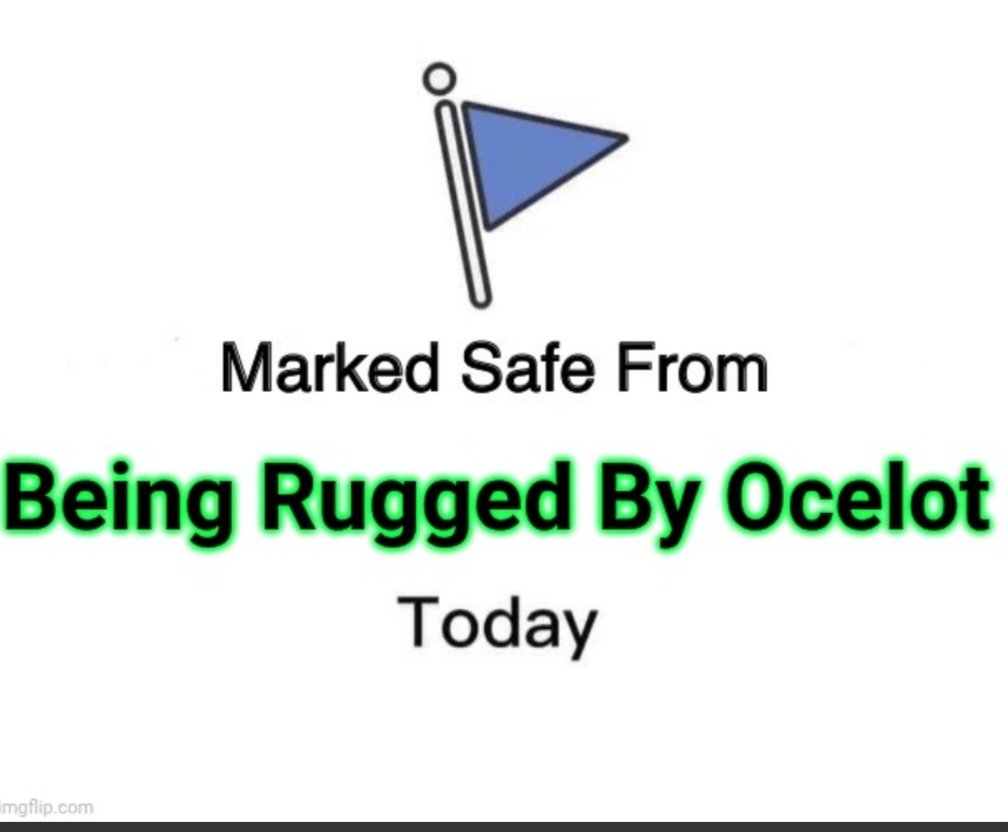 ShadowOps10X's tweet image. 