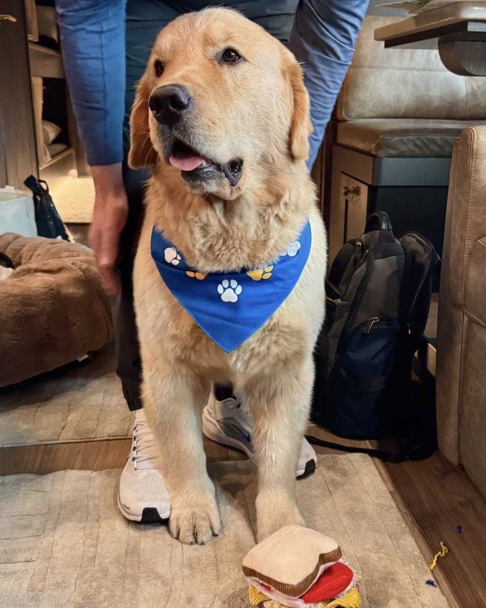 Pitt Panthers tweet media