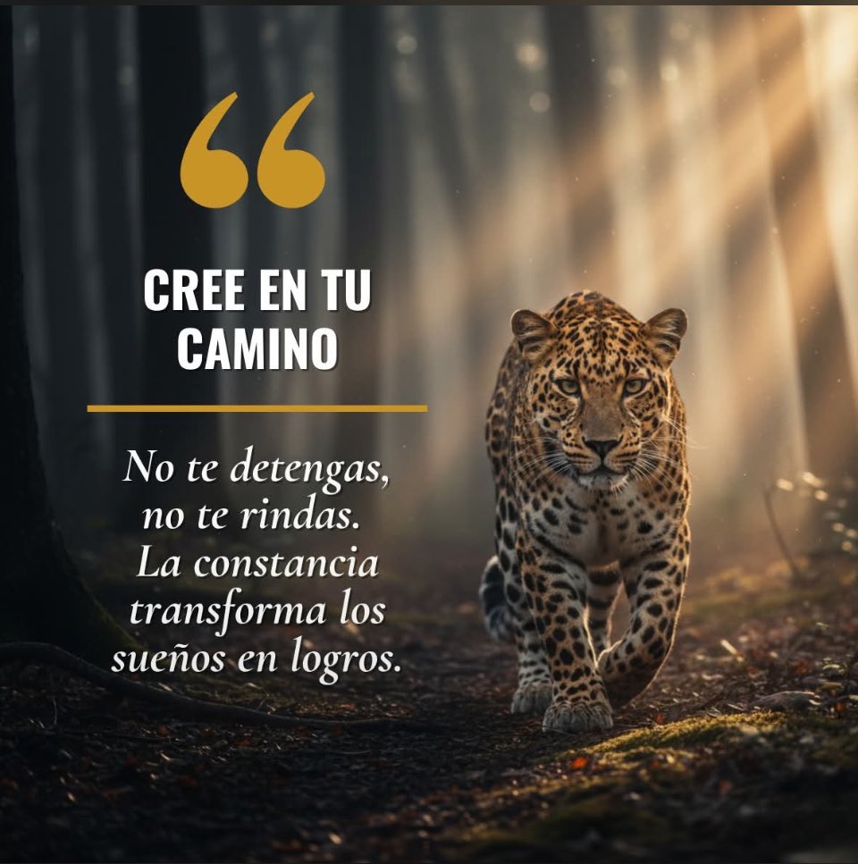 Checho Pulher (@chechopulher) on Twitter photo 