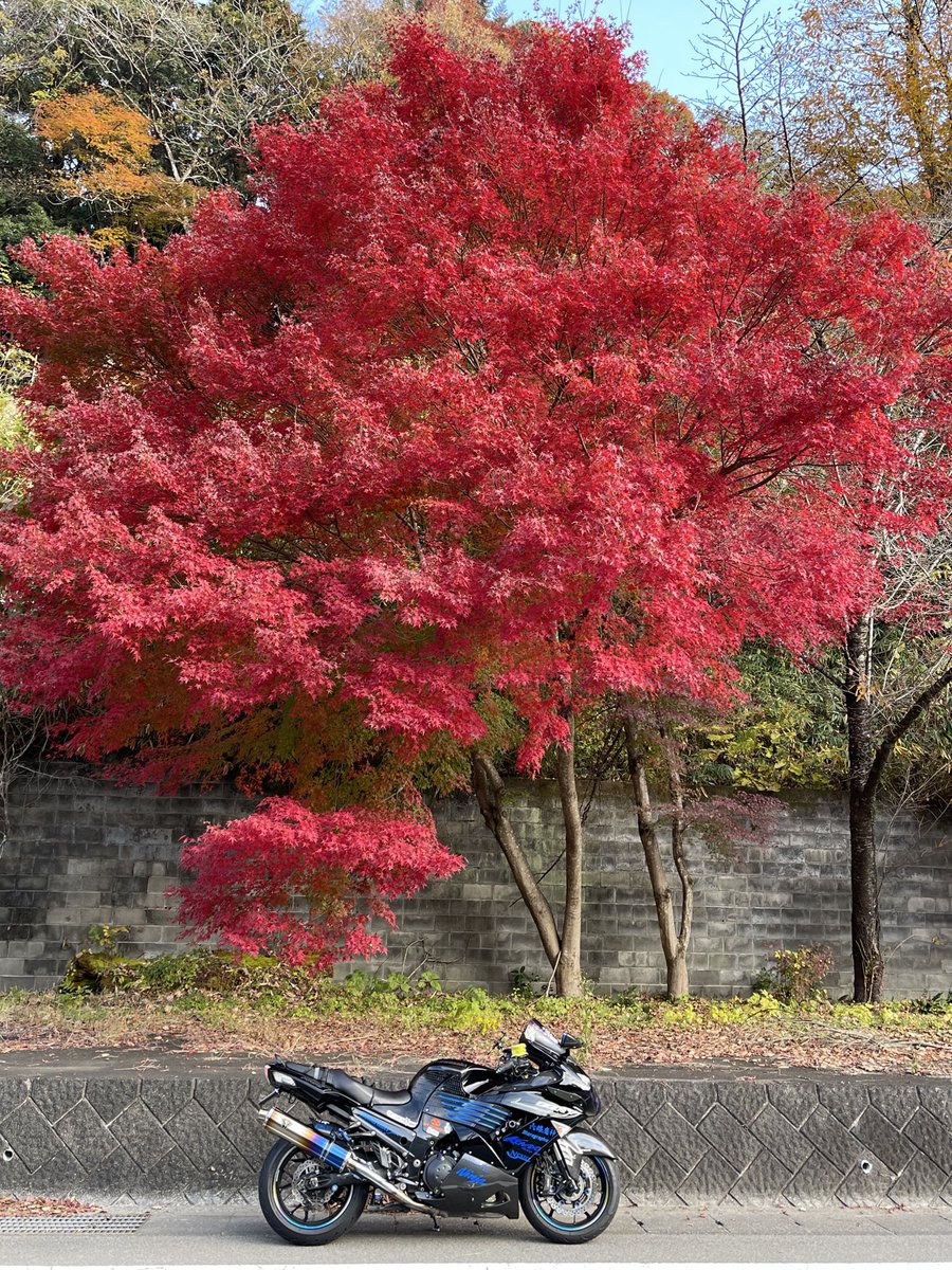 スズメ おはようございます☀️🍁 今日は電熱のテストライドです🌡 テストして