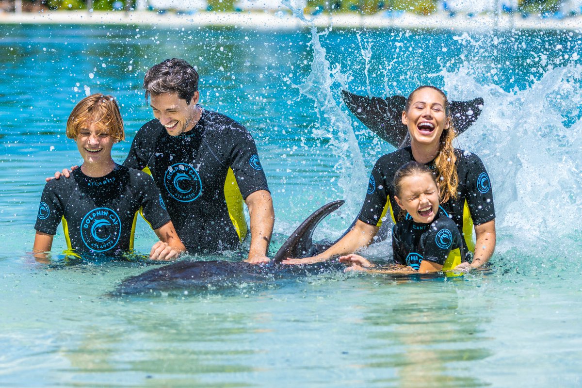 WSOP's tweet photo. Whether you want to meet dolphins, play mini golf, or enjoy the buffet, @atlantisbahamas is offering a variety of discounts on activities and dining at WSOP Paradise 2025.

See the full list on https://t.co/k6cF9BfLcm!

Link: https://t.co/INIrIZETai https://t.co/lYBs96BKZh