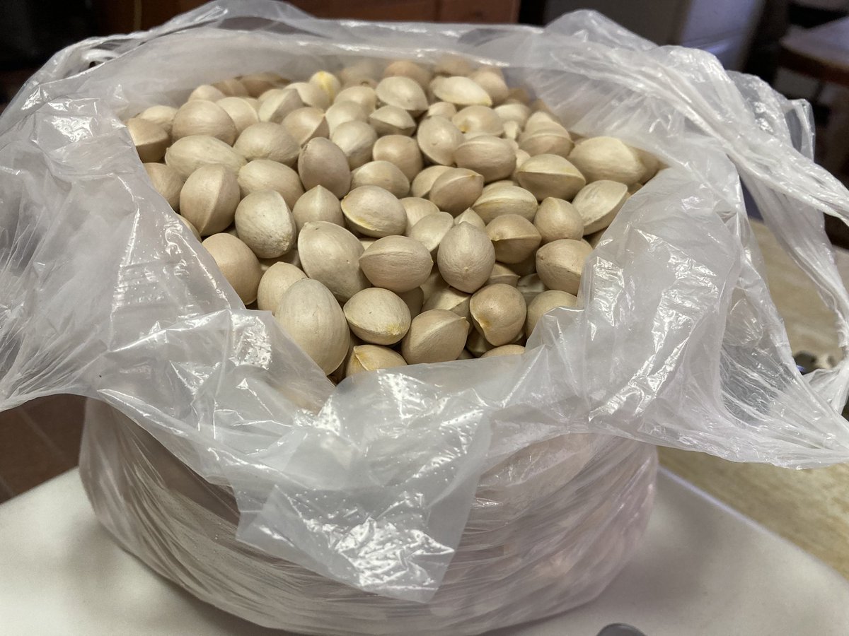 Bugs64 (@cyclo_zanmai) / Posts / X