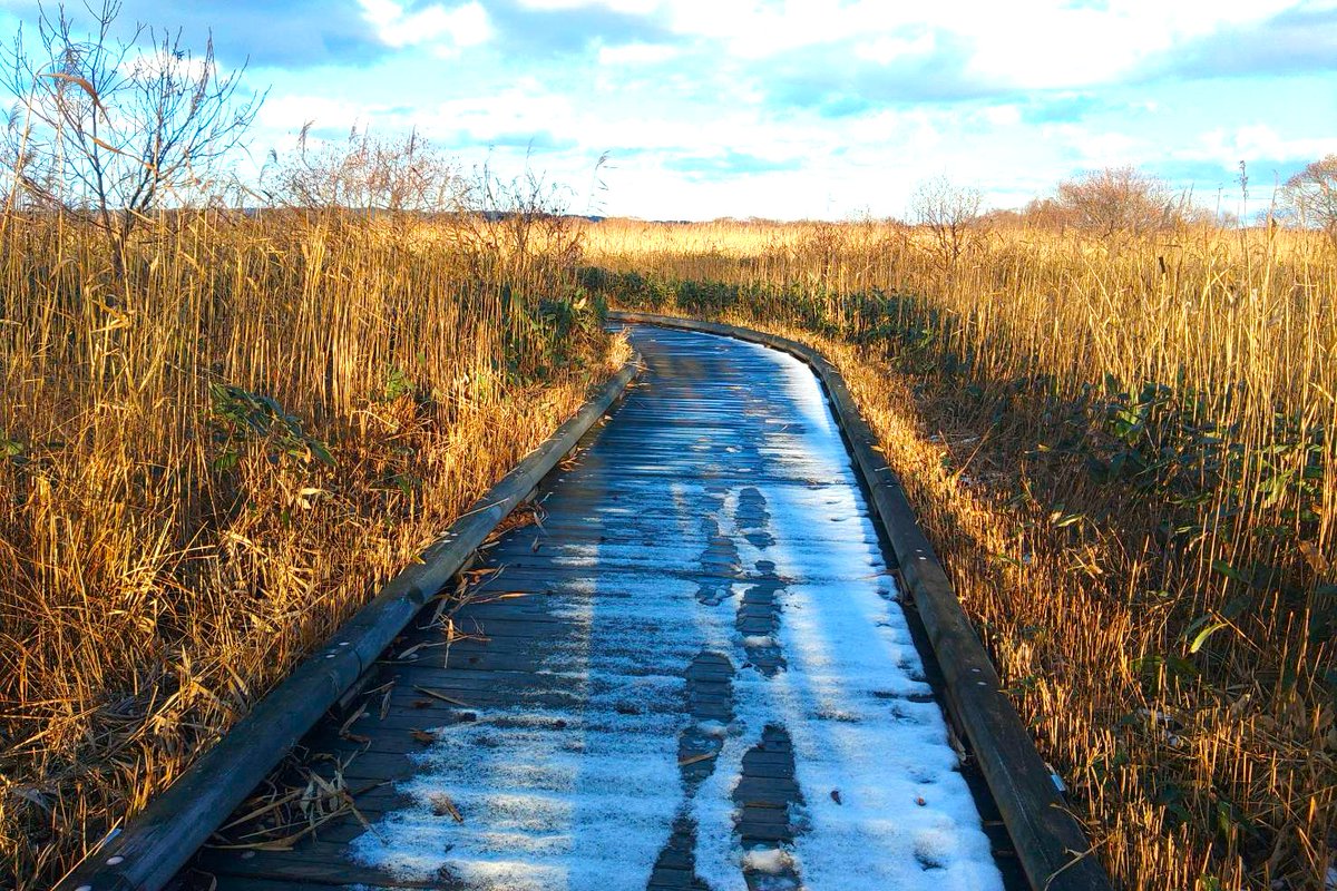 polaris_guides's tweet image. 【晩秋の湿原をご案内🍀】

例年であれば11月は閑散期で事務仕事に勤しむ時期なのですが、今年はありがたいことにこの時期の #サロベツ湿原 を歩いてみたいという方からのご依頼をいただいております✨

薄っすら雪が積もった #木道 を歩き晩秋の #湿原 をお楽しみいただきました☺

#北海道 #サロベツ