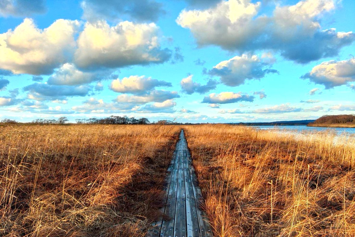 polaris_guides's tweet image. 【晩秋の湿原をご案内🍀】

例年であれば11月は閑散期で事務仕事に勤しむ時期なのですが、今年はありがたいことにこの時期の #サロベツ湿原 を歩いてみたいという方からのご依頼をいただいております✨

薄っすら雪が積もった #木道 を歩き晩秋の #湿原 をお楽しみいただきました☺

#北海道 #サロベツ