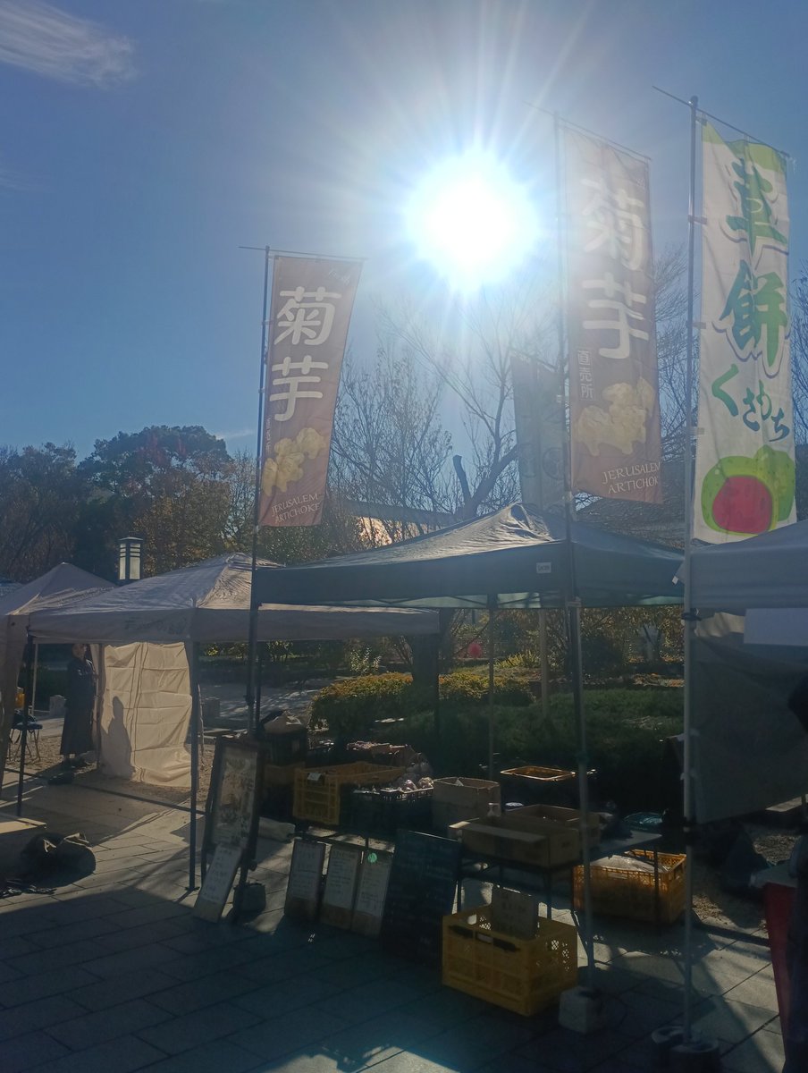 toko_kikuimo's tweet photo. 徳川園の徳農市、設営完了です。
17時まで。
のぼり新しくなりました。
#農薬不使用
#キクイモ
#菊芋
#サトイモ https://t.co/P5x97auBFB