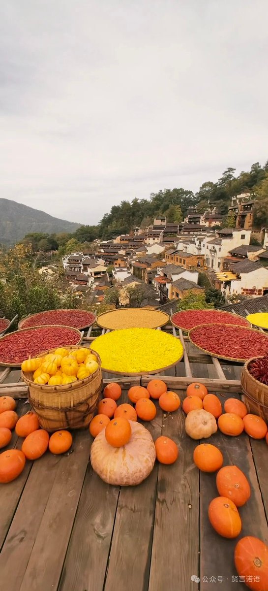 aishuzhan's tweet image. 江西婺源的秋天，是白墙黛瓦间晒秋的五彩斑斓，是一幅诗意盎然的田园画卷。