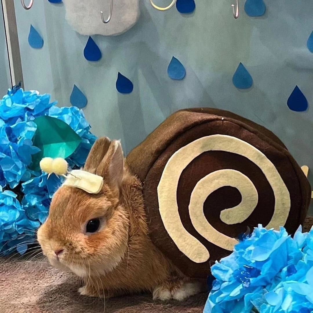 maggotparadise's tweet image. im a changed person